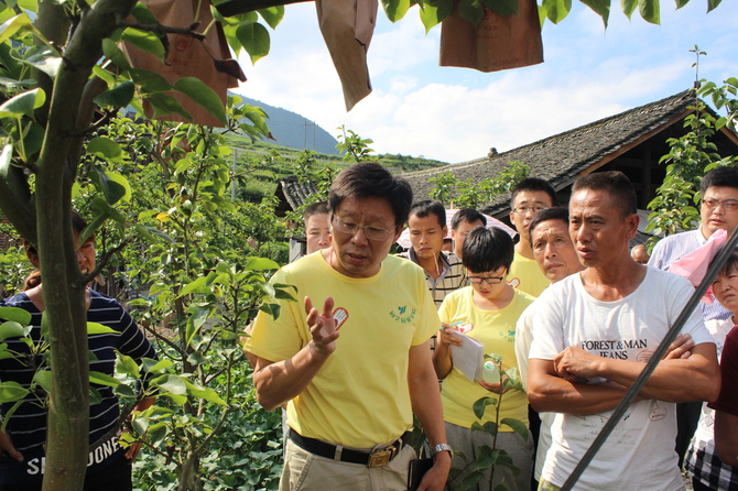 湖南农大园艺院谢深喜教授现场与当地种植户讲解苗香梨种植技术